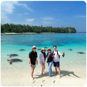 pulau konservasi penyu hijo langka